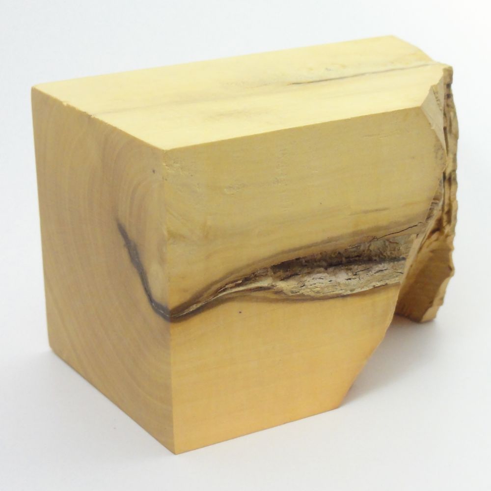 Morceau de buis brut, bois précieux utilisé pour les incrustations des bagues Adapa Auclair-Création.